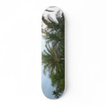 Palm Oil skateboards