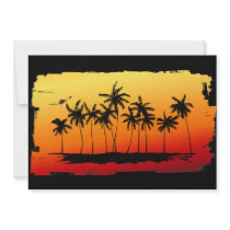 Palm Shadows at Sunset