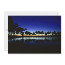 palm_silhouette_big_island_hawaii announcements