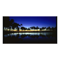 palm_silhouette_big_island_hawaii photo greeting card