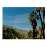 Palm Springs View Post Card