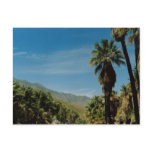 Palm Springs View postcards