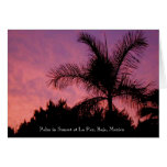 Palm Sunset cards