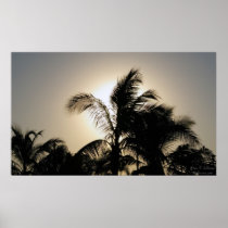 Palm Sunset Poster