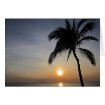 palm sunset silhouette greeting cards