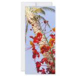 Palm Tree and Red Flower rack cards