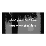 Palm Tree and Sun photo cards