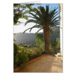 Palm Tree At Sunset On Corfu Island Cards