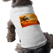 Palm Tree Beach Sunset