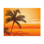 Palm Tree Beach Sunset postcards