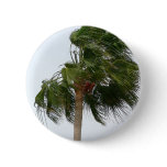Palm Tree Blowing In The Wind Pinback Button