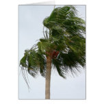 Palm Tree Blowing In The Wind Card