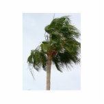 Palm Tree Blowing In The Wind Cut Outs