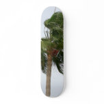 Palm Tree Blowing In The Wind Skateboard