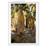 Palm Tree cards