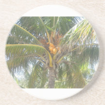 Palm Tree Coaster
