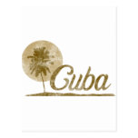 Palm Tree Cuba Postcard