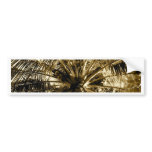 Palm Tree Fan bumper stickers