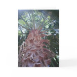 Palm Tree Greeting Card