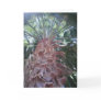 Palm Tree Greeting Card