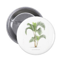 Palm tree illustration collection pinback button