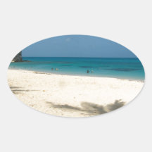 Palm Tree in Bermuda Oval Sticker