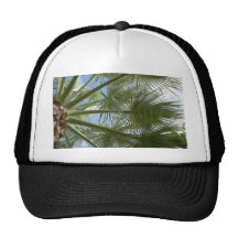 Palm Tree Leaves Mesh Hat