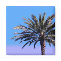 Palm Tree magnets