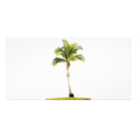 Palm tree photo cards