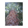 Palm Tree Postcard