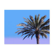 palm tree postcards