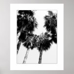 Palm Tree posters
