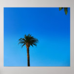 Palm Tree posters