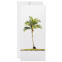 Palm tree rack cards