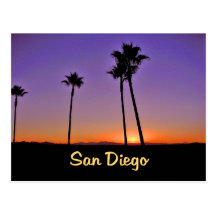 Palm Tree Silhouette In San Diego Post Card