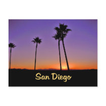 Palm Tree Silhouette In San Diego Post Card