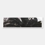 Palm Tree Sunset Bumper Sticker