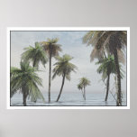 palm trees #1 posters