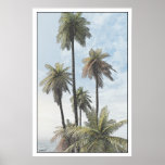 palm trees #2 posters