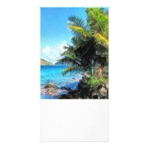 Palm Trees and Beach St. Thomas VI Custom Photo Card