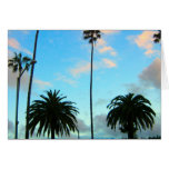 Palm Trees and Blue Sky Greeting Card