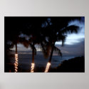 Palm Trees and Setting Sun, Oahu posters