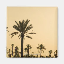 Palm trees at dusk, Morocco Magnets