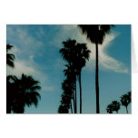 Palm Trees Card