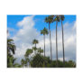 Palm Trees & Clouds Postcards