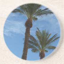 Palm Trees Coaster