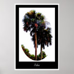 Palm Trees Graphic posters