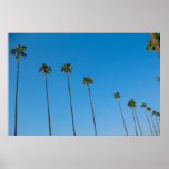 Palm Trees in a Row posters