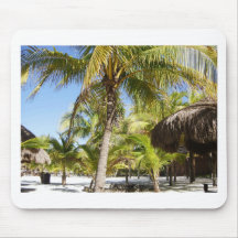 Palm Trees in Mexico Mousepads
