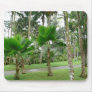 Palm trees mousepad